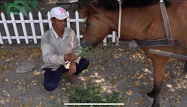 an giang nhung chuyen xe ngua vung giap bien
