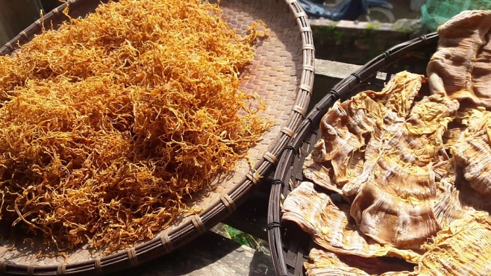 Tuyên Quang có đặc sản gì ấn tượng? tuyen quang co dac san gi an tuong