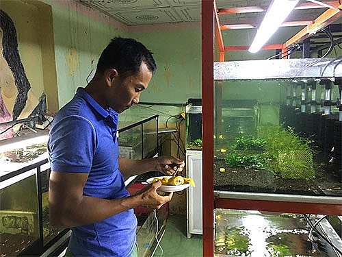 Trai phố biển nuôi tép kiểng vui chơi mà mỗi tháng lời 25-30 triệu trai pho bien nuoi tep kieng vui choi ma moi thang loi 25 30 trieu