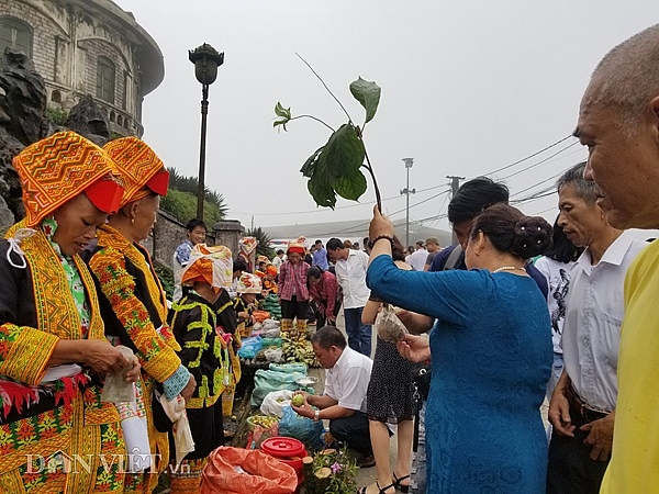 Đặc sản xứ Lạng: Rùa đá nhốt rọ, quả lạ vàng rực, rết độc nhốt chai dac san xu lang rua da nhot ro qua la vang ruc ret doc nhot chai