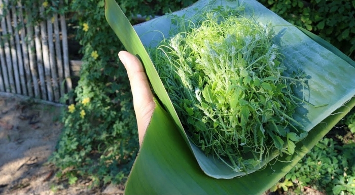 Đồng Nai có những đặc sản gì luôn chiếm sức hút với du khách? dong nai co nhung dac san gi luon chiem suc hut voi du khach