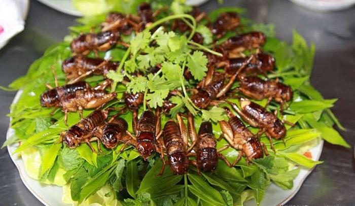 Đồng Nai có những đặc sản gì luôn chiếm sức hút với du khách? dong nai co nhung dac san gi luon chiem suc hut voi du khach