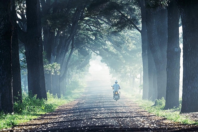 Phố núi Gia Lai chìm trong sương sớm pho nui gia lai chim trong suong som
