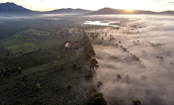 Phố núi Gia Lai chìm trong sương sớm pho nui gia lai chim trong suong som