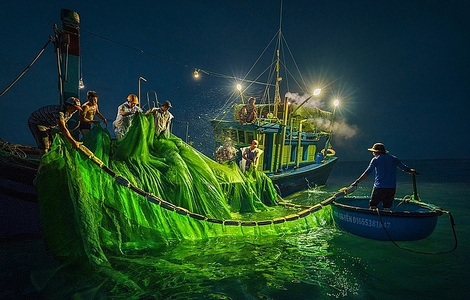 hanh trinh san anh mua ca com o phu yen