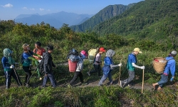 Những người Mông 
