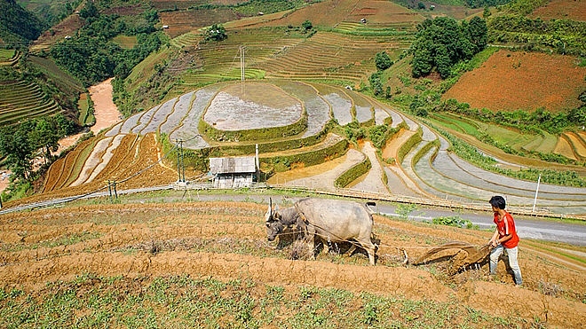 Lạc bước giữa mùa cấy trên cánh đồng ruộng bậc thang như tuyệt tác lac buoc giua mua cay tren canh dong ruong bac thang nhu tuyet tac