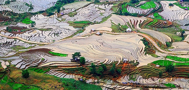 Lạc bước giữa mùa cấy trên cánh đồng ruộng bậc thang như tuyệt tác lac buoc giua mua cay tren canh dong ruong bac thang nhu tuyet tac