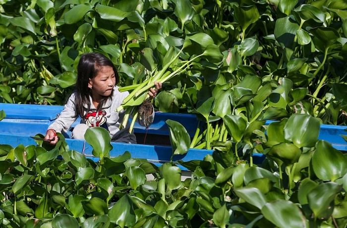 Ngôi trường của những đứa trẻ lưu lạc xuyên biên giới ngoi truong cua nhung dua tre luu lac xuyen bien gioi