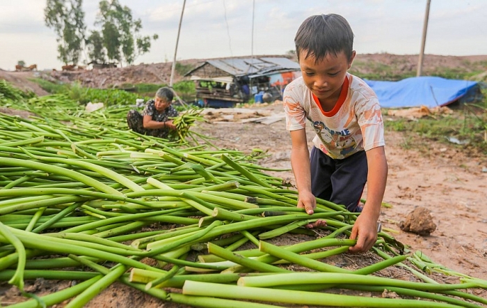 Ngôi trường của những đứa trẻ lưu lạc xuyên biên giới ngoi truong cua nhung dua tre luu lac xuyen bien gioi
