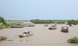 kinh nghiem ma tat ca lai xe o to can nam trong mua mua bao