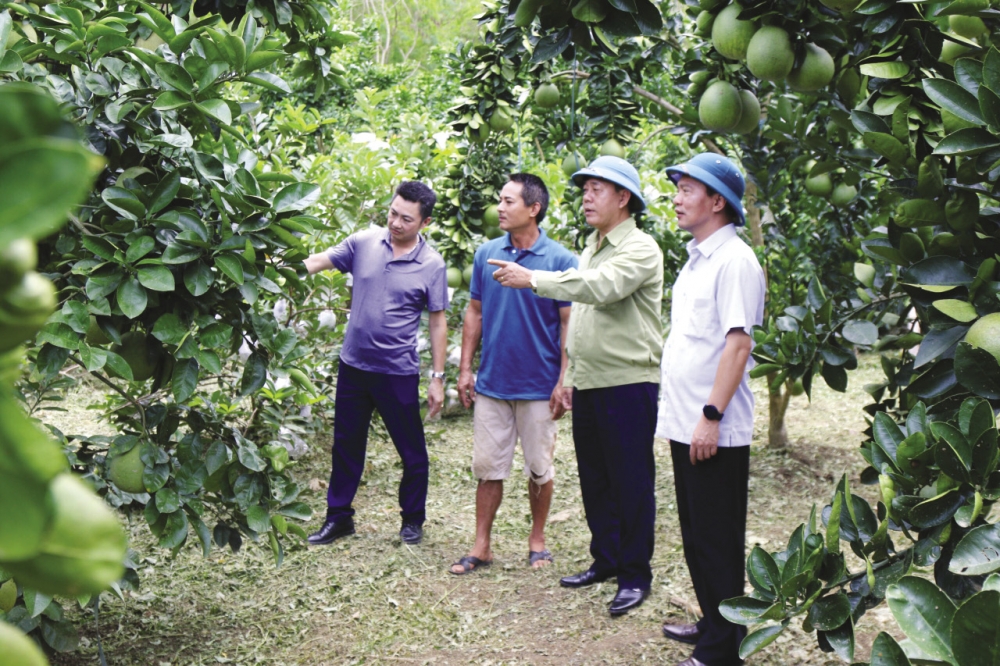 Sắc xuân Mường Khoe Sắc xuân Mường Khoe