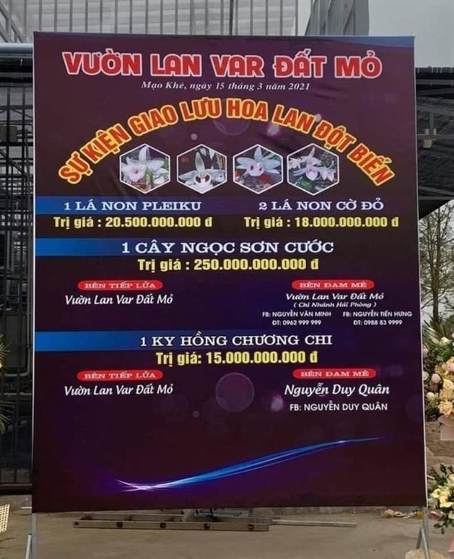 Tổng cục Thuế yêu cầu giám sát giao dịch lan đột biến hàng trăm tỷ đồng Tổng cục Thuế yêu cầu giám sát giao dịch lan đột biến hàng trăm tỷ đồng