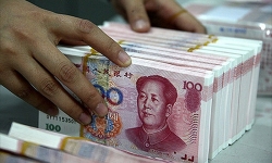 ty gia ndt hom nay 85 lay lai da tang