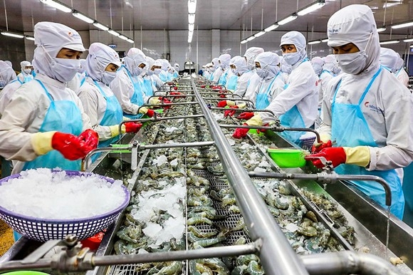 Dịch COVID-19 phức tạp tại Ấn Độ, Bộ Công Thương khuyến cáo doanh nghiệp xuất khẩu hàng Bộ Công Thương khuyến cáo doanh nghiệp xuất khẩu sang Ấn Độ cần mua bảo hiểm với tất cả các lô hàng