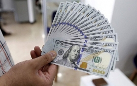 Tỷ giá ngoại hôm nay (21/8): EURO, NDT đồng loạt mất giá