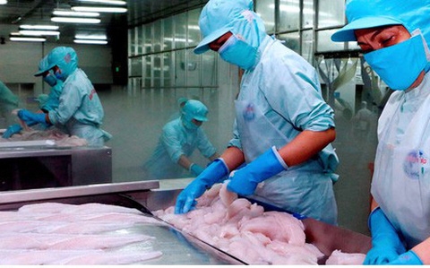 Ủy ban châu Âu chấp thuận cho Việt Nam gia hạn đăng ký mã số REX đến hết năm Châu Âu chấp thuận cho doanh nghiệp Việt Nam đăng ký mã số REX đến hết năm