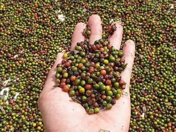 Bộ Công thương 