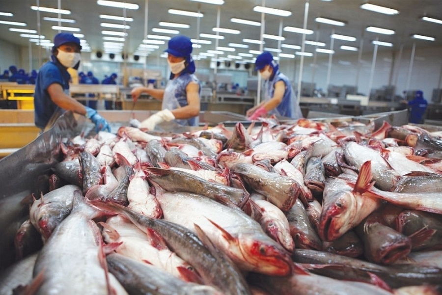 Cú hích từ EVFTA: Xuất khẩu thủy sản vào EU tăng đột biến Xuất khẩu thủy sản Việt Nam vào EU tăng đột biến
