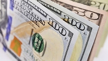 Tỷ giá ngoại tệ hôm nay (6/11): Euro và NDT bất ngờ tăng phi mã