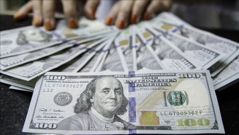 Tỷ giá ngoại tệ hôm nay (12/11): Euro quay đầu lao dốc, USD vẫn 