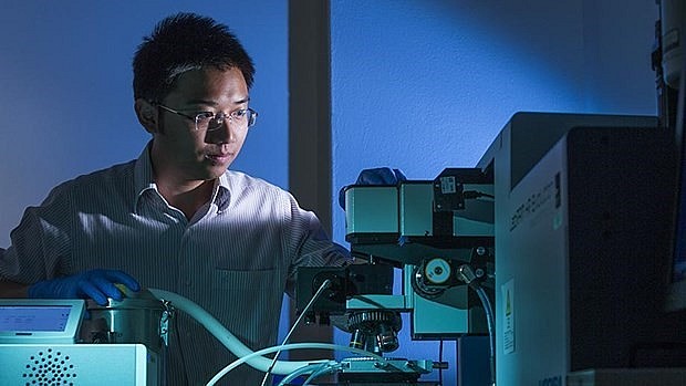 Dr. Nguyen Trong Hieu. Photo: VNN Dr. Nguyen Trong Hieu. Photo: VNN