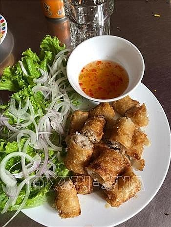 Overseas Vietnamese Celebrate Tet in Africa Overseas Vietnamese Celebrate Tet in Africa