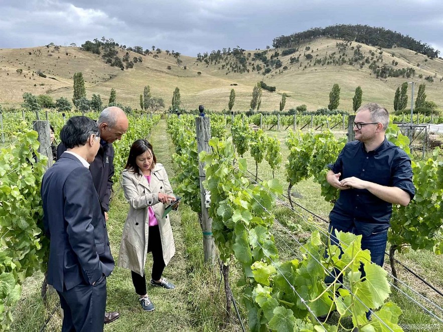 Tasmania Ready to Have Comprehensive Cooperation with Vietnam Tasmania Ready to Have Comprehensive Cooperation with Vietnam