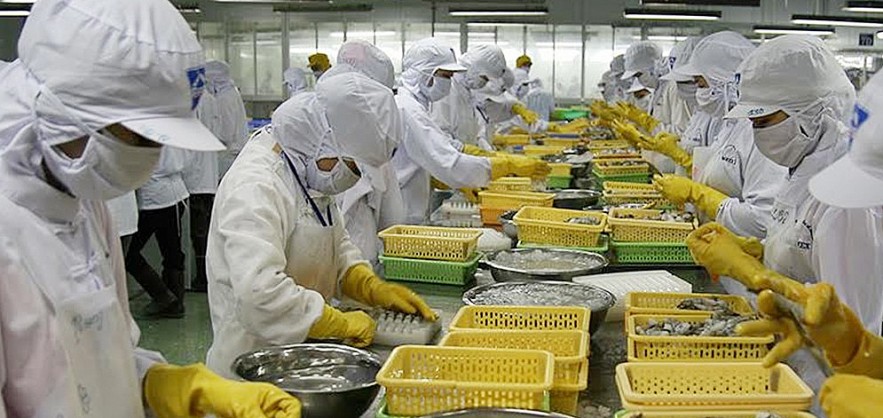 Vietnam, EU Reinforce Ties in FTA Implementation Vietnam, EU Reinforce Ties in FTA Implementation