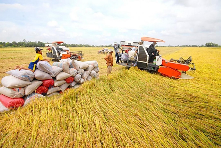 Vietnamese Agriculture Approaches Consumption Trend of Global Economy Vietnam Sets Sustainable Agriculture Plan
