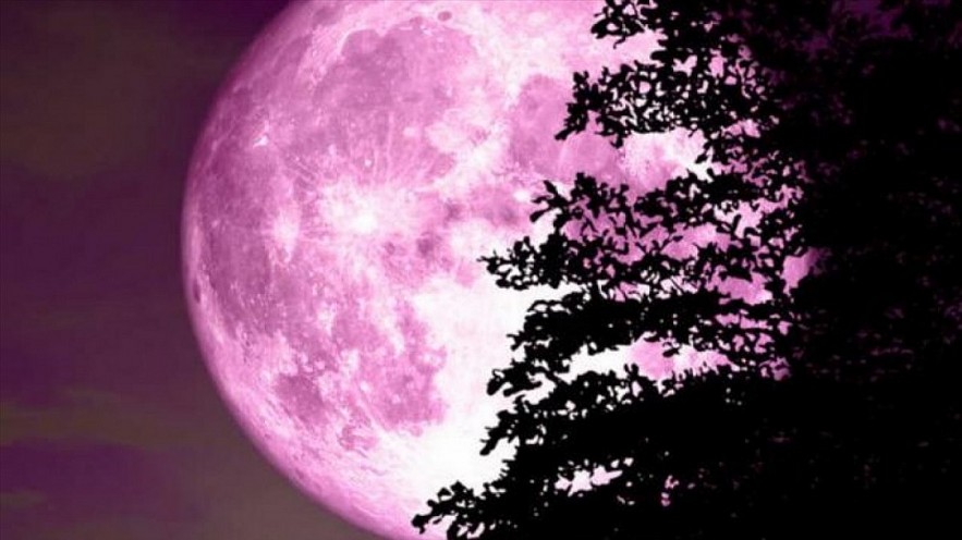 Local people will have chance to admire April's full moon at around 1:55 a.m. on April 17. Photo: Internet Local people will have chance to admire April's full moon at around 1:55 a.m. on April 17. Photo: Internet