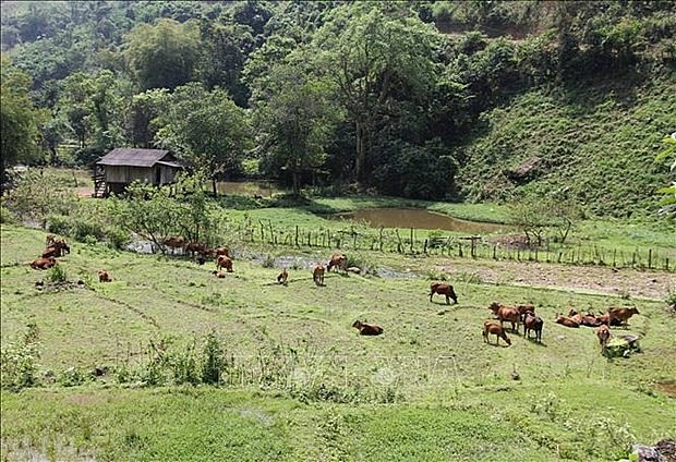 Vietnam has made remarkable progress in poverty reduction in the 2010 – 2020 period. Photo: VNA Vietnam has made remarkable progress in poverty reduction in the 2010 – 2020 period. Photo: VNA
