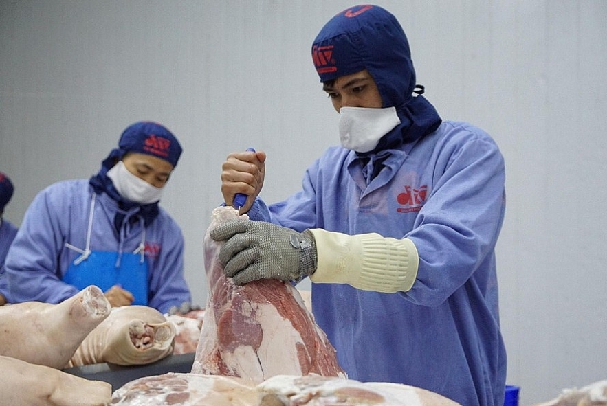 Vietnamese enterprises advised to export pigs to Cambodia Vietnamese enterprises advised to export pigs to Cambodia
