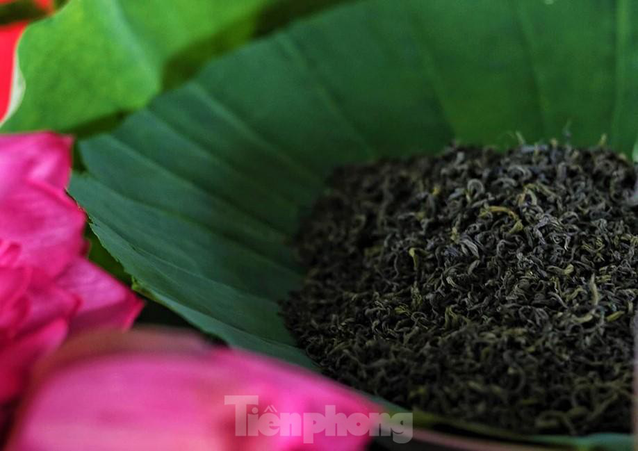 In photo: The vibrant colors of lotus blossom on Hanoi streets