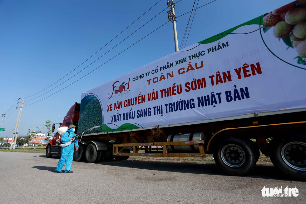 20 tons of Bac Giang lychee on the way to Japan Bac Giang lychees on the way to Japan