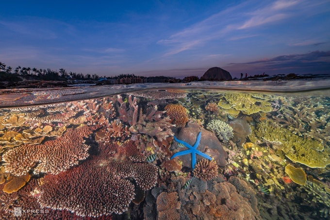 5 new Phu Yen’ check-in points for weekend Top 5 new Phu Yen’ check-in points for weekend