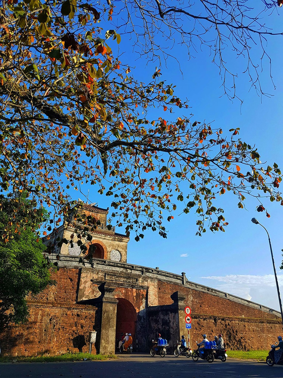 Uncovered beauty of Hue ancient capital Hue's ancient citadel preserves royal history and natural beauty