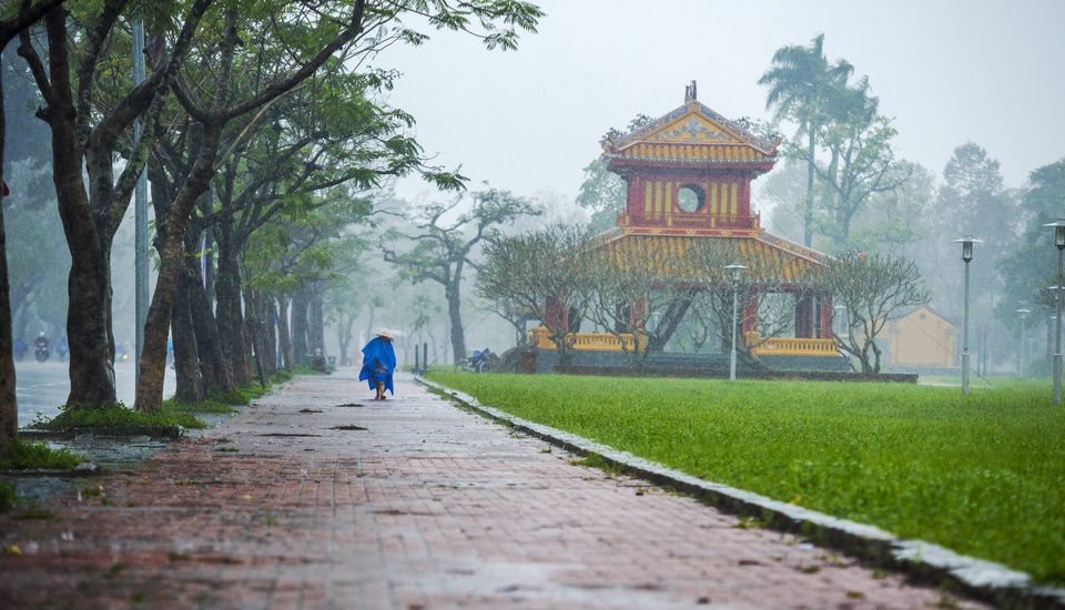 Uncovered beauty of Hue ancient capital Hue's ancient citadel preserves royal history and natural beauty