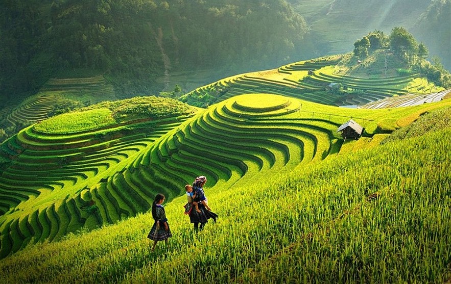 Photo: baobacgiang