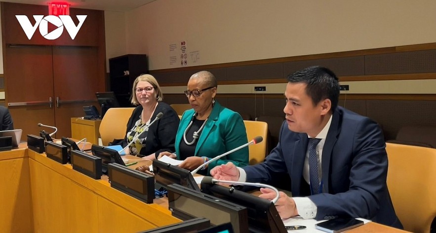 Ambassador Dang Hoang Giang, Permanent Representative of Vietnam to the UN. Photo: VNA Ambassador Dang Hoang Giang, Permanent Representative of Vietnam to the UN. Photo: VNA