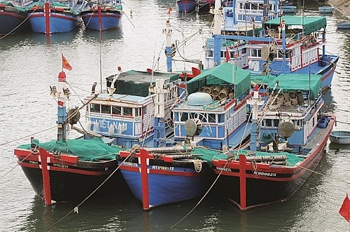 Offshore fishing fleet of Ninh Thuan province. Photo: Nguyen Thanh/VNA Offshore fishing fleet of Ninh Thuan province. Photo: Nguyen Thanh/VNA
