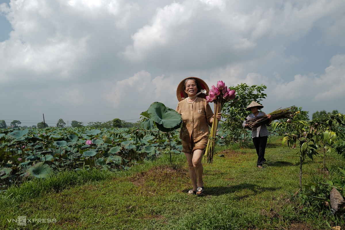 Vietnam's First Artisan to Weave Lotus Silk Vietnamese Artisan Weaves New Lotus Silk