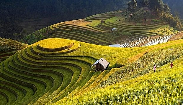 Terraced fields in the northern province of Ha Giang. Photo: VietnamPlus Terraced fields in the northern province of Ha Giang. Photo: VietnamPlus