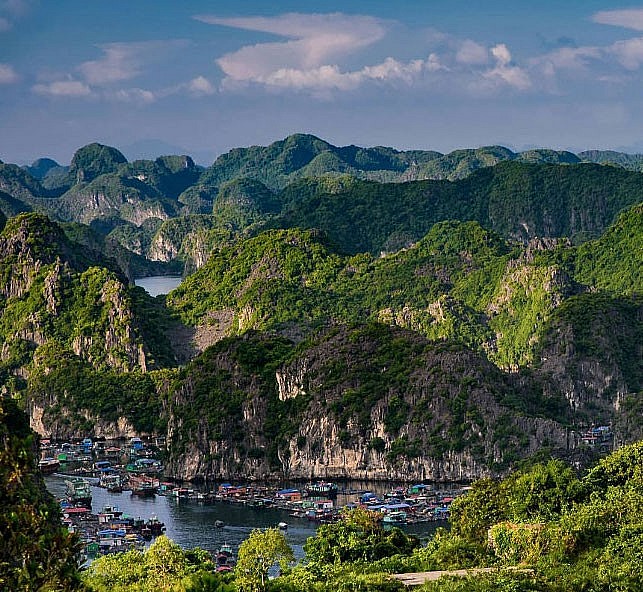 Cat Ba Nominated as World Natural Heritage Site Cat Ba Nominated as World Natural Heritage Site