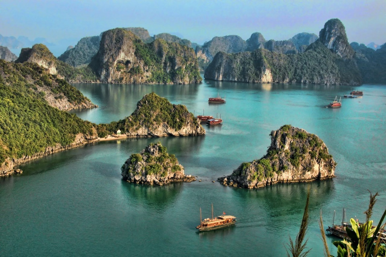 Mini Octopus: Special Local Food of Ha Long Mini Octopus: Special Local Food of Ha Long