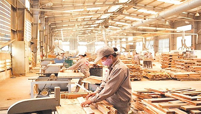 America Becomes Vietnam's Largest Trading Partner in Agriculture America Becomes Vietnam's Largest Agricultural Trading Partner