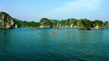 leonardo dicaprio calls for protection of vietnams lan ha bay
