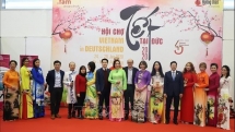 malaysian son in laws pure love for vietnamese culture