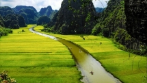 vietnam postpones annual national tourism promotion over novel coronavirus