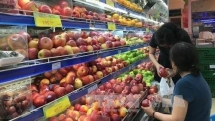 vietnam export activities achieve good growth amid covid 19 epidemic